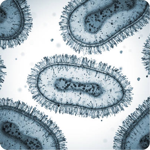 Infectious Diseases